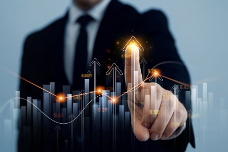 Investor Committee
