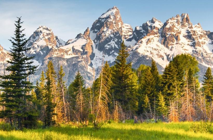 STEP Wyoming Conference 2026.